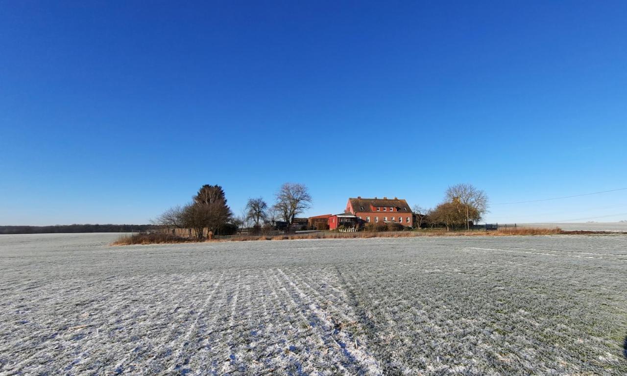 Vierseitenhof Hasenfelde - Ferienwohnung Feldblick Steinhofel Extérieur photo